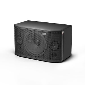 Loa Karaoke Nằm Ngang DBacoustic KS-X10